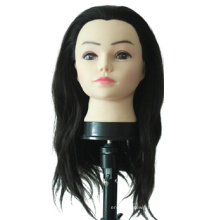Human Hair Virgin Hair Mannequin with Hair Practice Mannequin